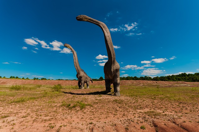 Brachiosaurus-Quiz