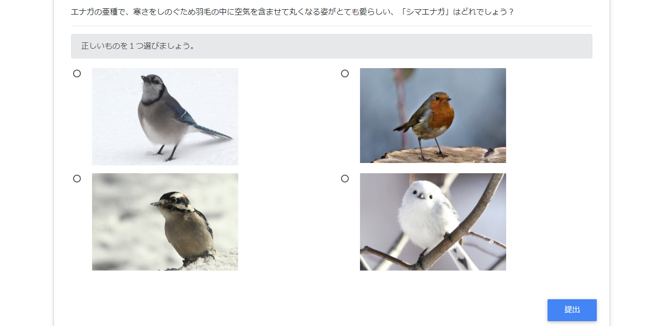 h_blog