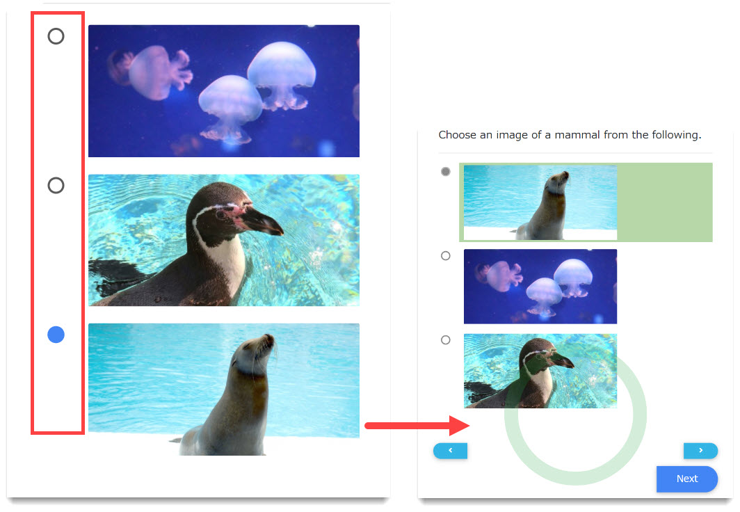 QuizGenerator - Image Selection