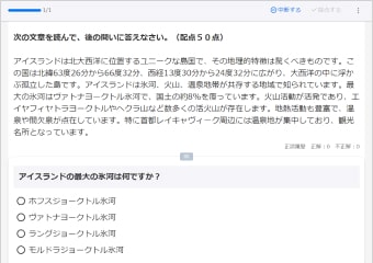 画面に表示される問題の例